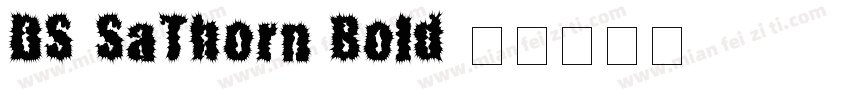 DS-SaThorn Bold字体转换